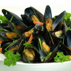 STEAMED MUSSELS